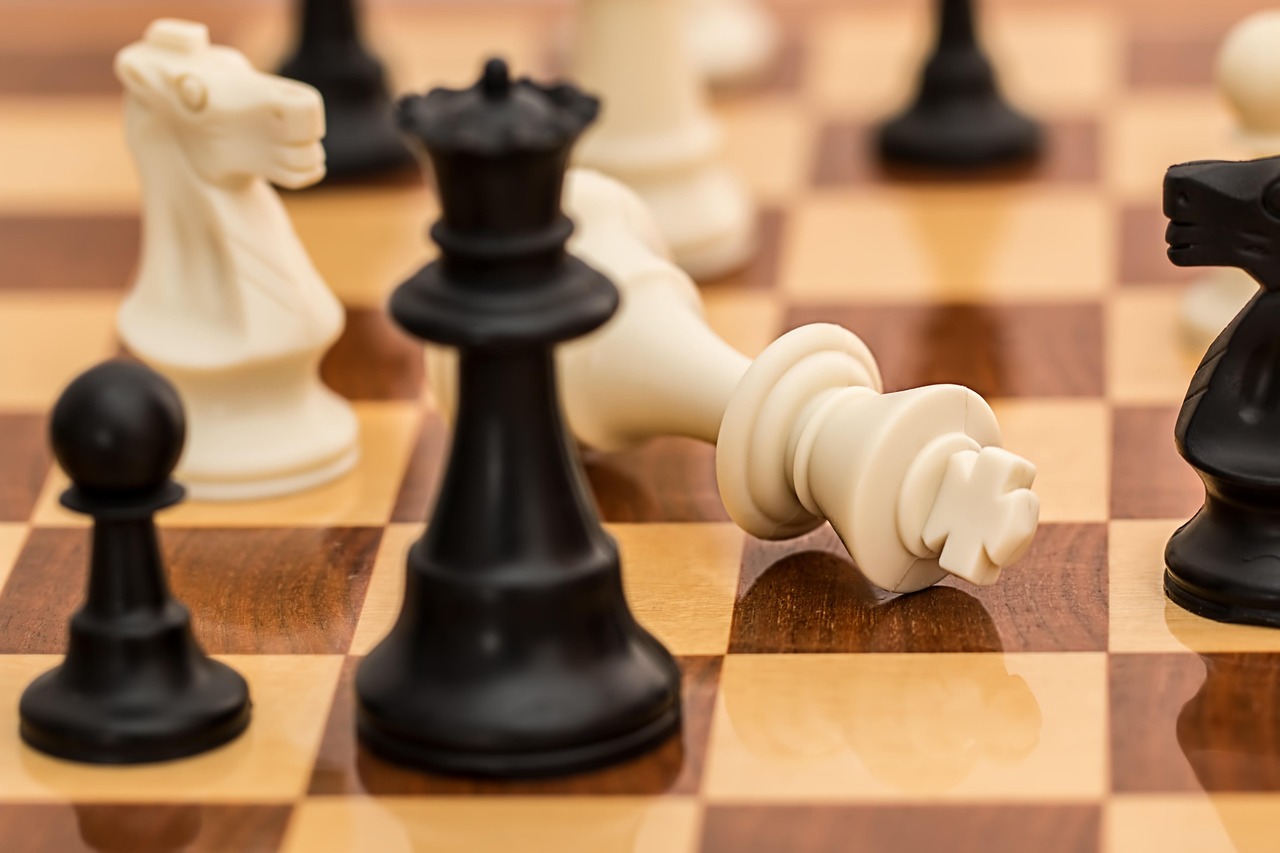 Litigation Aspects of Competition Law